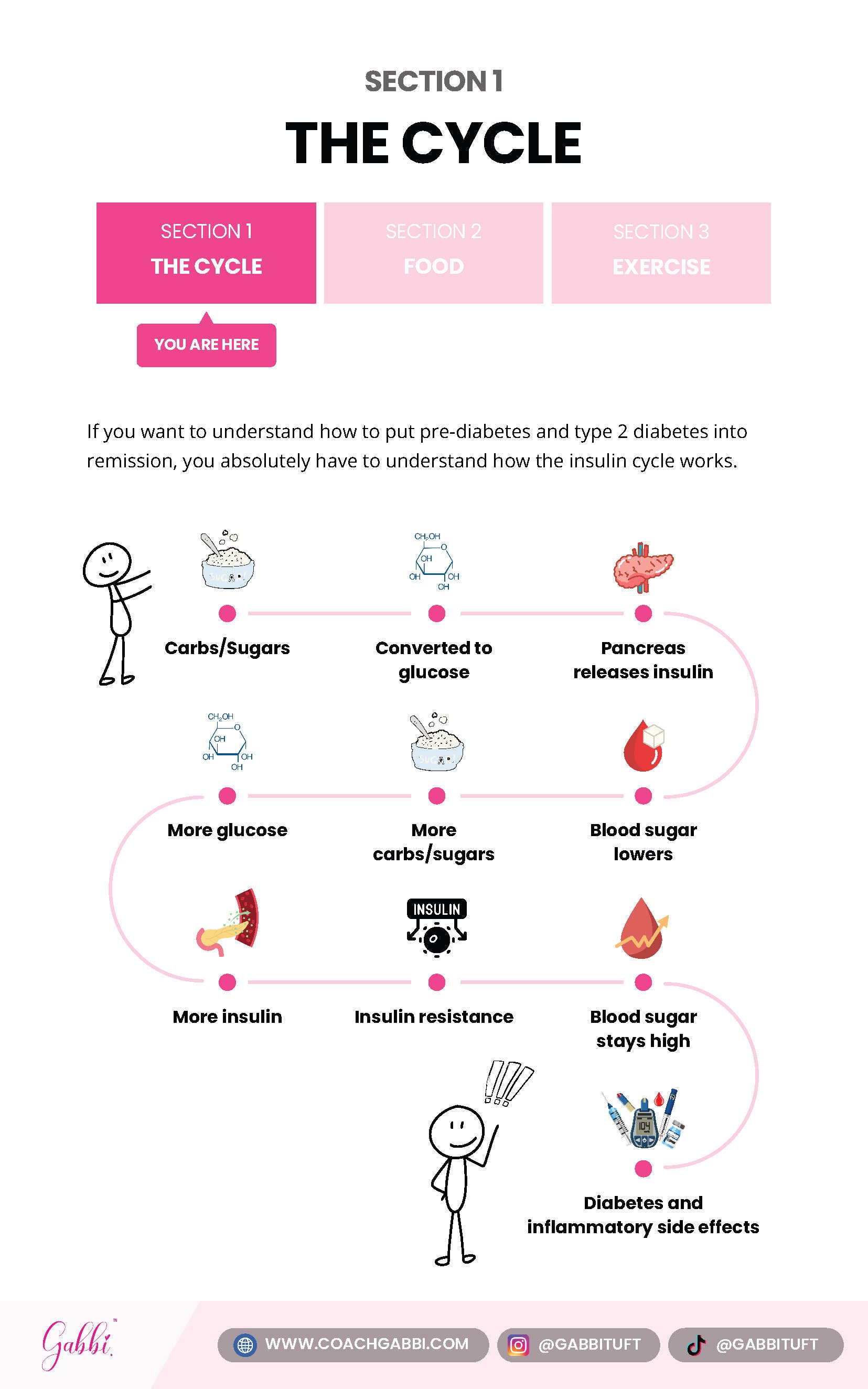 Diabetes Decoded Guide